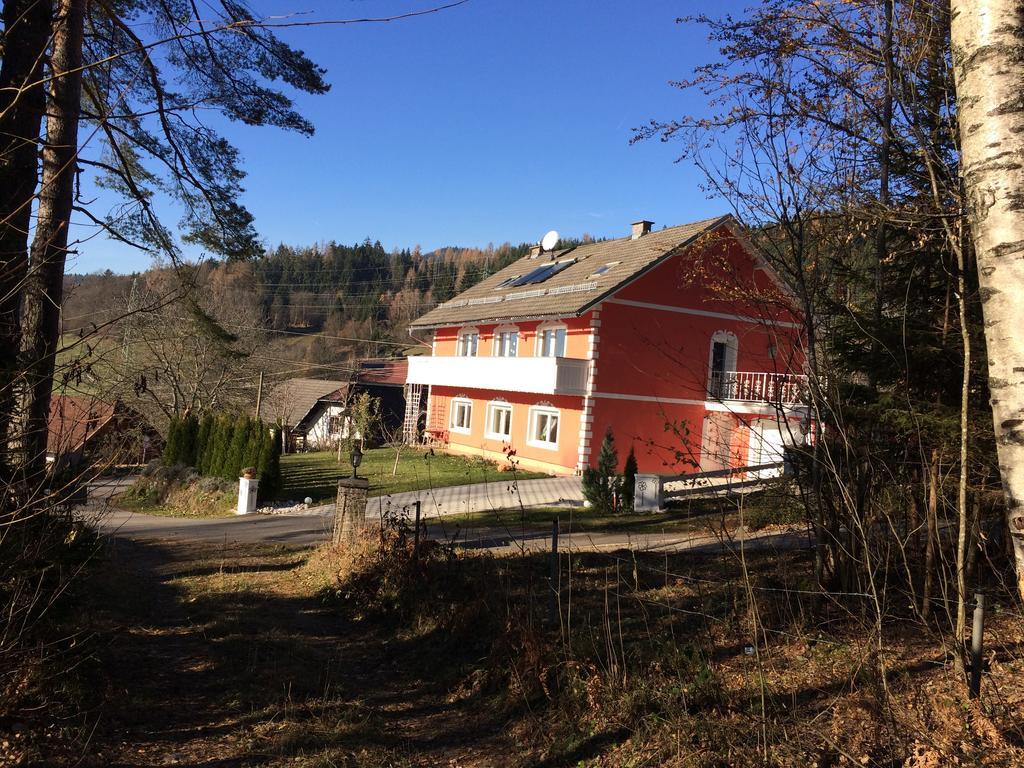 Апартаменты Pension Hadanig Techelsberg Номер фото